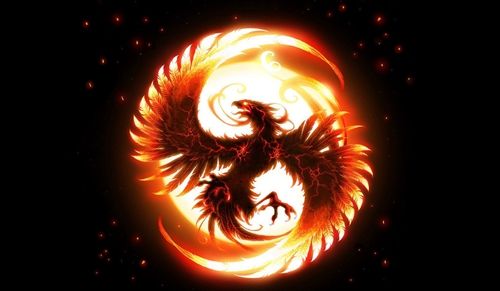 新員工拓展課程：鳳凰涅槃